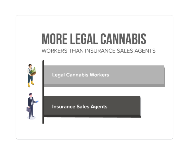 More Legal Cannabis Workers than insurance sales agents